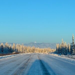 Meet your Posher, Rylee